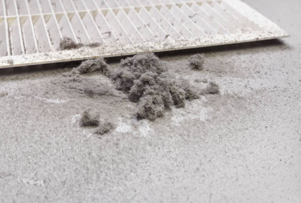 Best HVAC Duct Inspection Services  in Okauchee Lake, WI